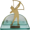 Prêmio Melhores do Ano Troféu Paiaguás